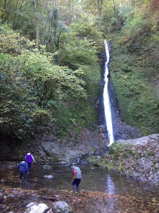 Tamar Valley, Cornwall Callington Luaran gambar